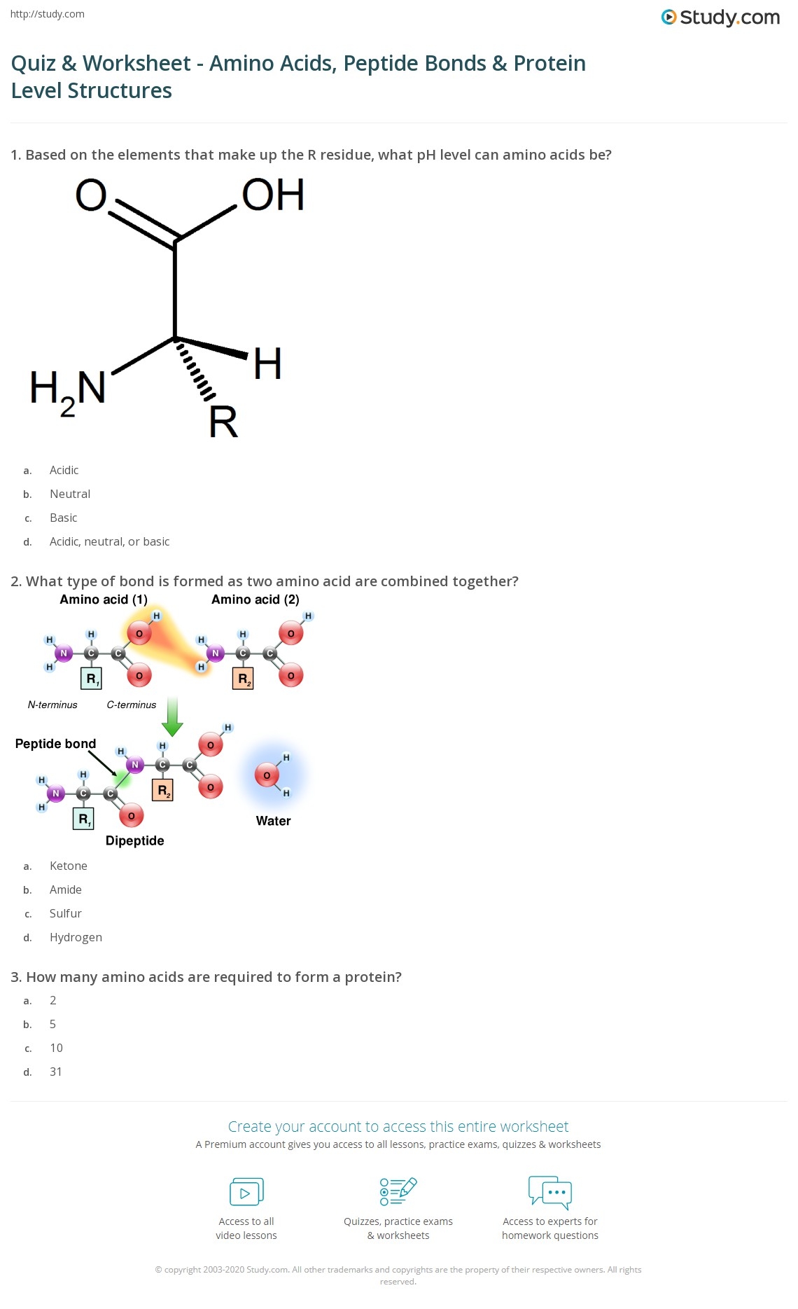 Quiz Worksheet Amino Acids Peptide Bonds Protein Level Structures Study