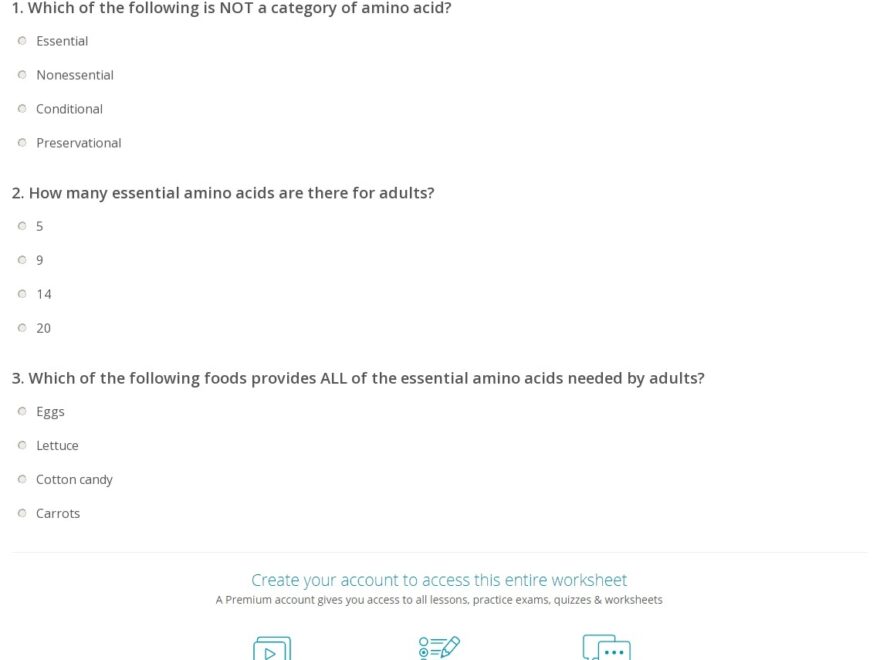 Quiz Worksheet Essential Amino Acids Study