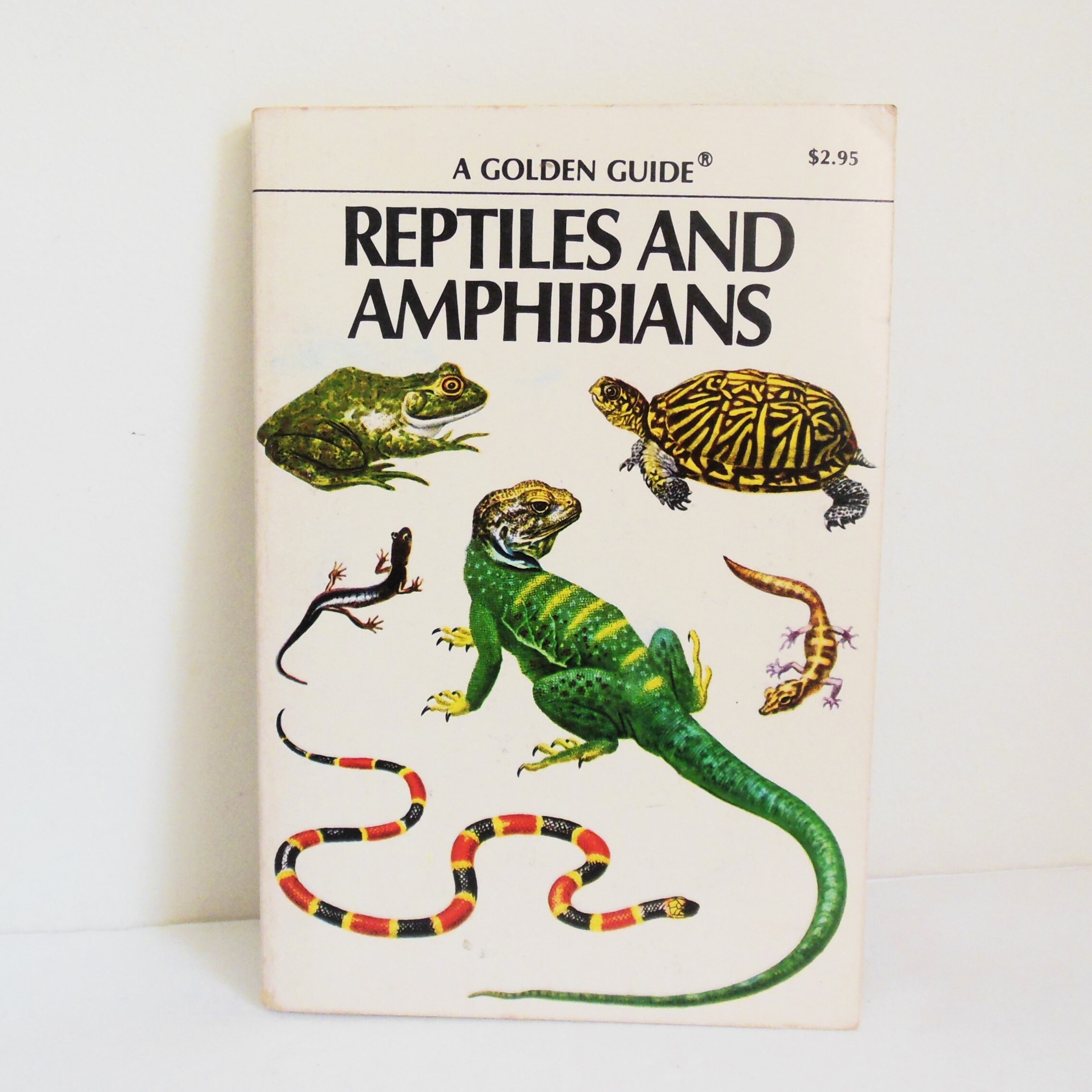 Field Guide Herpetology Printable