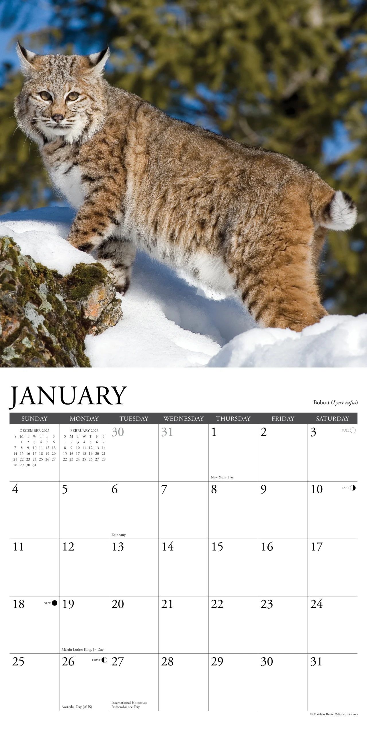 Rocky Mountain Wildlife Calendar 2026 Buy Order Easily Online
