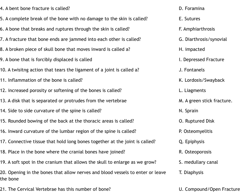 Skeletal System Research Test Worksheet WordMint