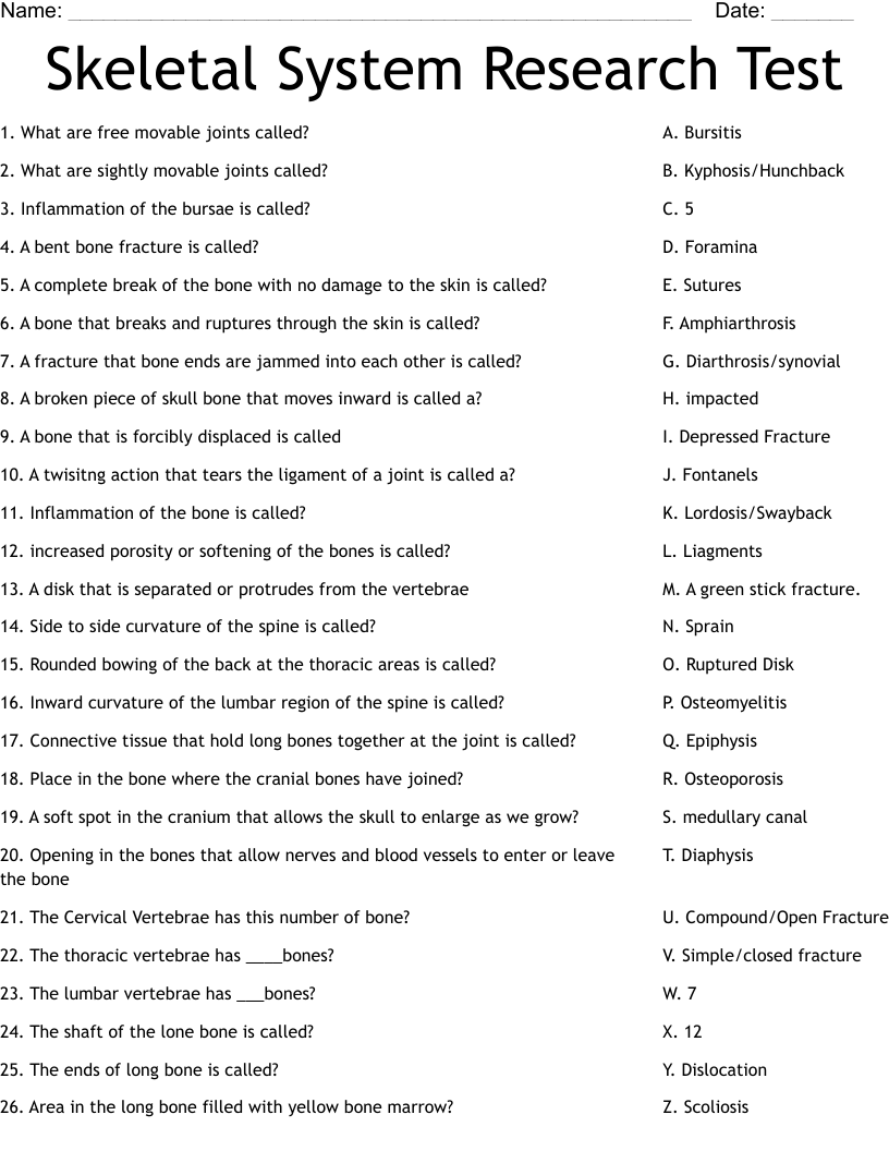 Skeletal System Research Test Worksheet WordMint