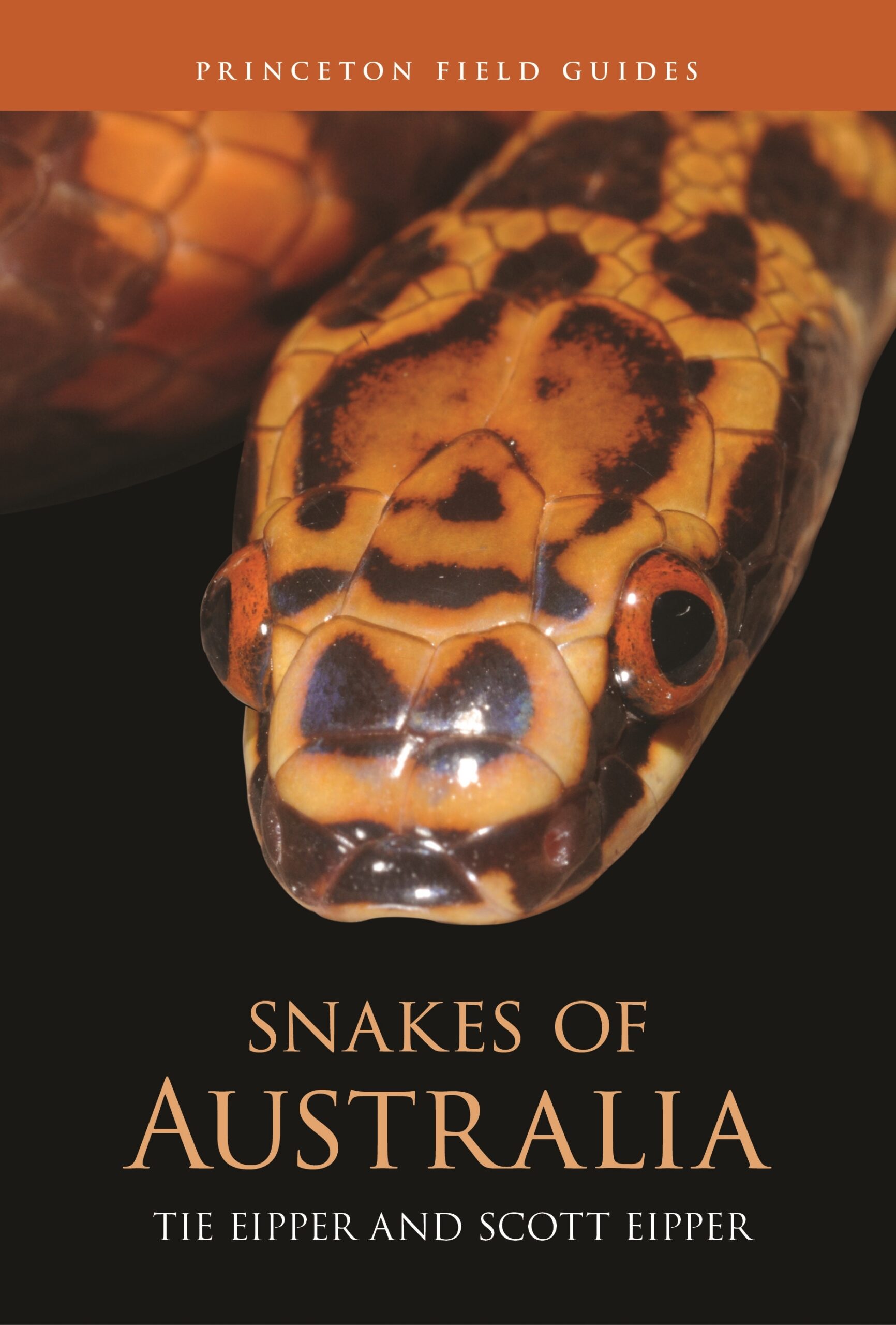 Snakes Of Australia Princeton University Press