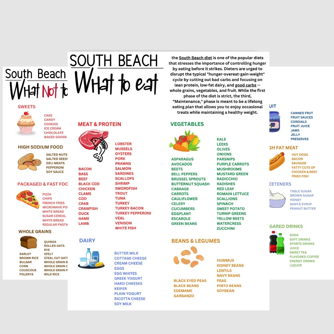 South Beach Diet Food List And Diet Guide Patient Education Information Food Grocery List 1 Pdf W Link To Canva 3 Jpgs 3 Pdfs Etsy
