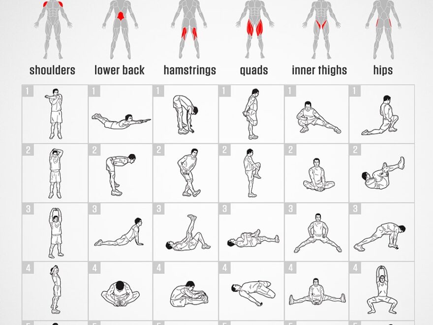 Stretching Exercises Chart