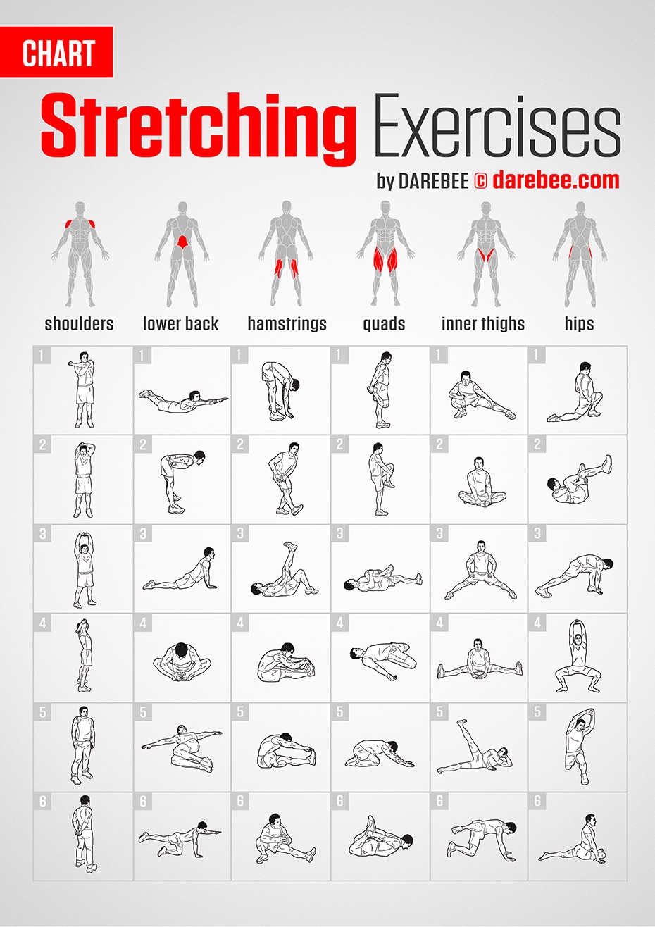 Stretching Exercises Chart Stretching Exercises Chart