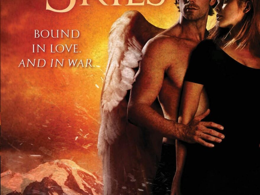 The Guardians Of Ascension Series Macmillan