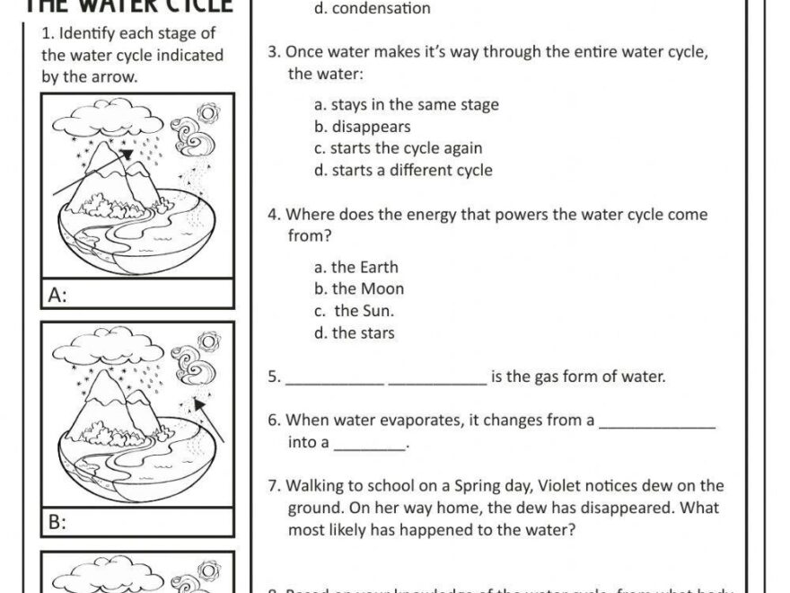 The Water Cycle Free Interactive Worksheets 328408