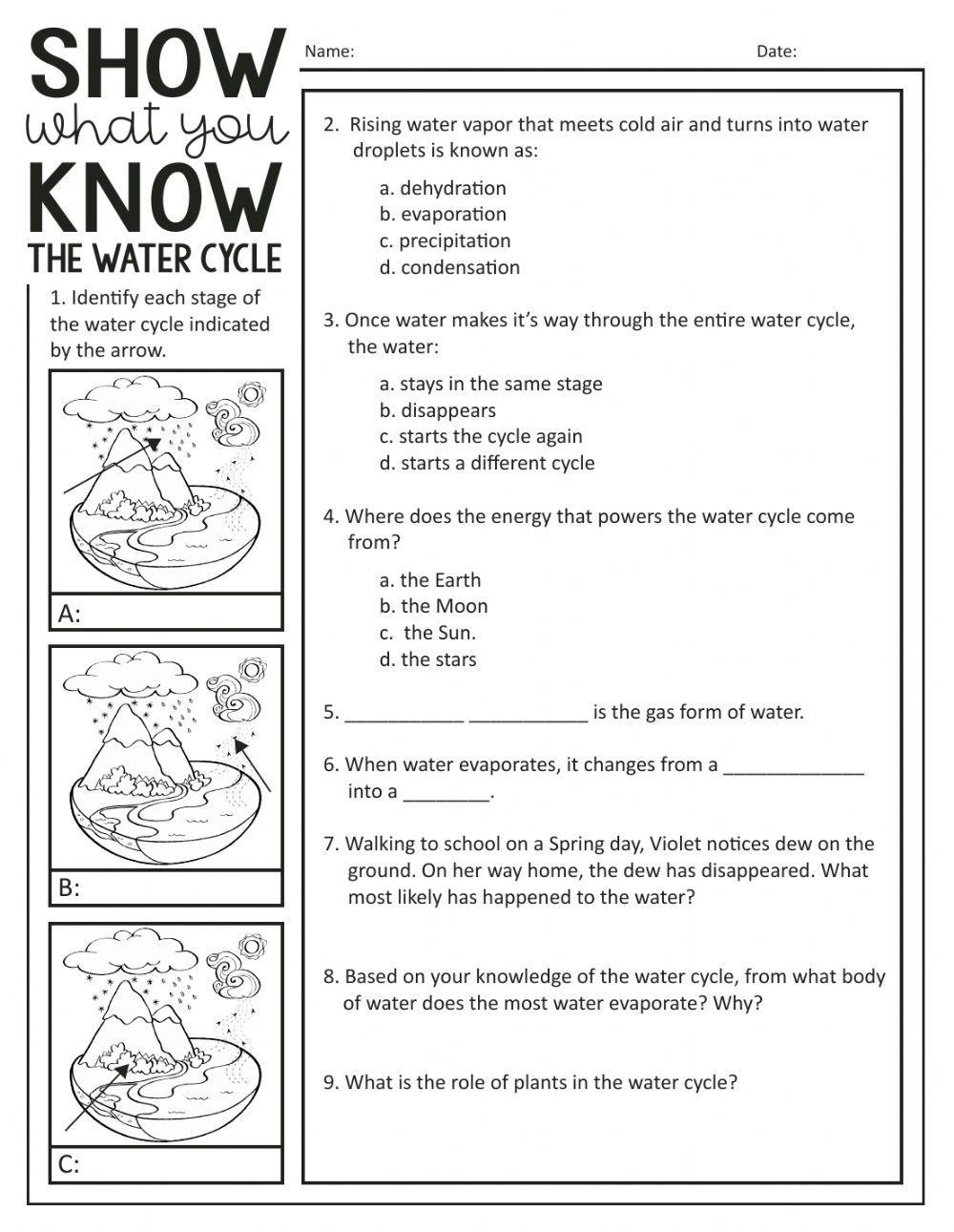 The Water Cycle Free Interactive Worksheets 328408