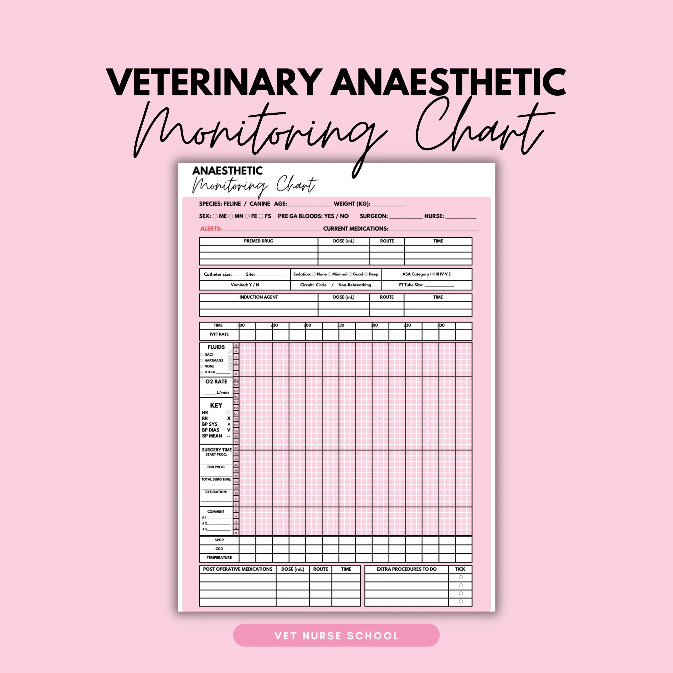 Veterinary Anaesthetic Monitoring Chart Vet Nurse Etsy UK