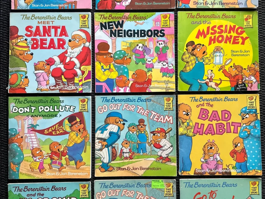 Vintage Berenstain Bears First Time Books Choose Your Title Etsy