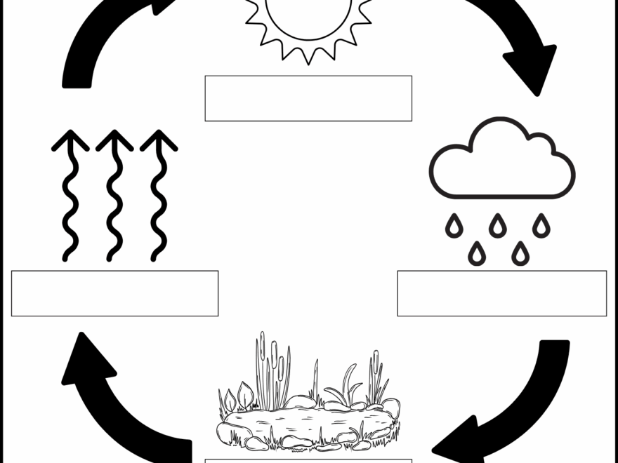 Water Cycle Printables Teaching Mama