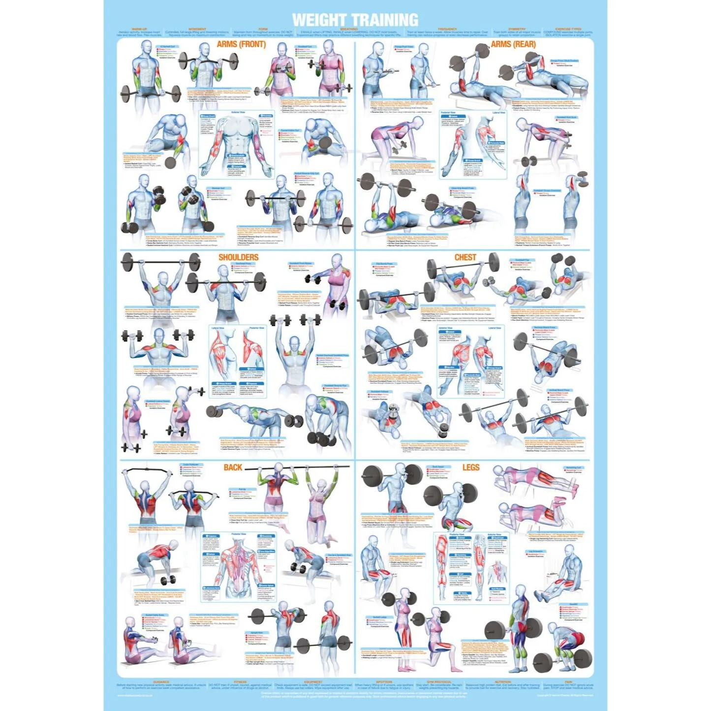 Weight Training Poster Full Body Workout Chart Etsy